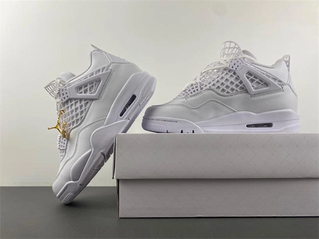 WeatherProof Air Jordan 4 FV7251- 3888
