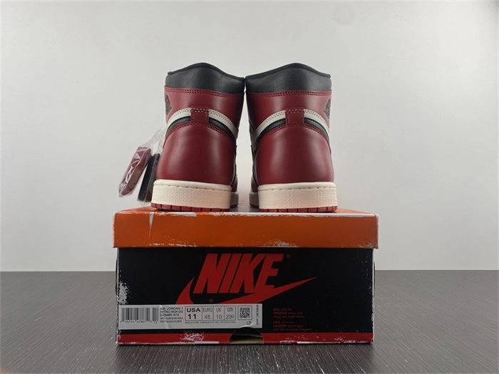 Jordan 1 Retro High OG Lost and Found DZ5485- Unique 3584