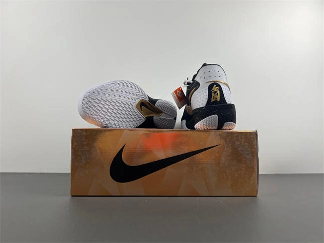 Nike Air ZoomX G.T. Cut 3 DV2918- Sophisticated 5289